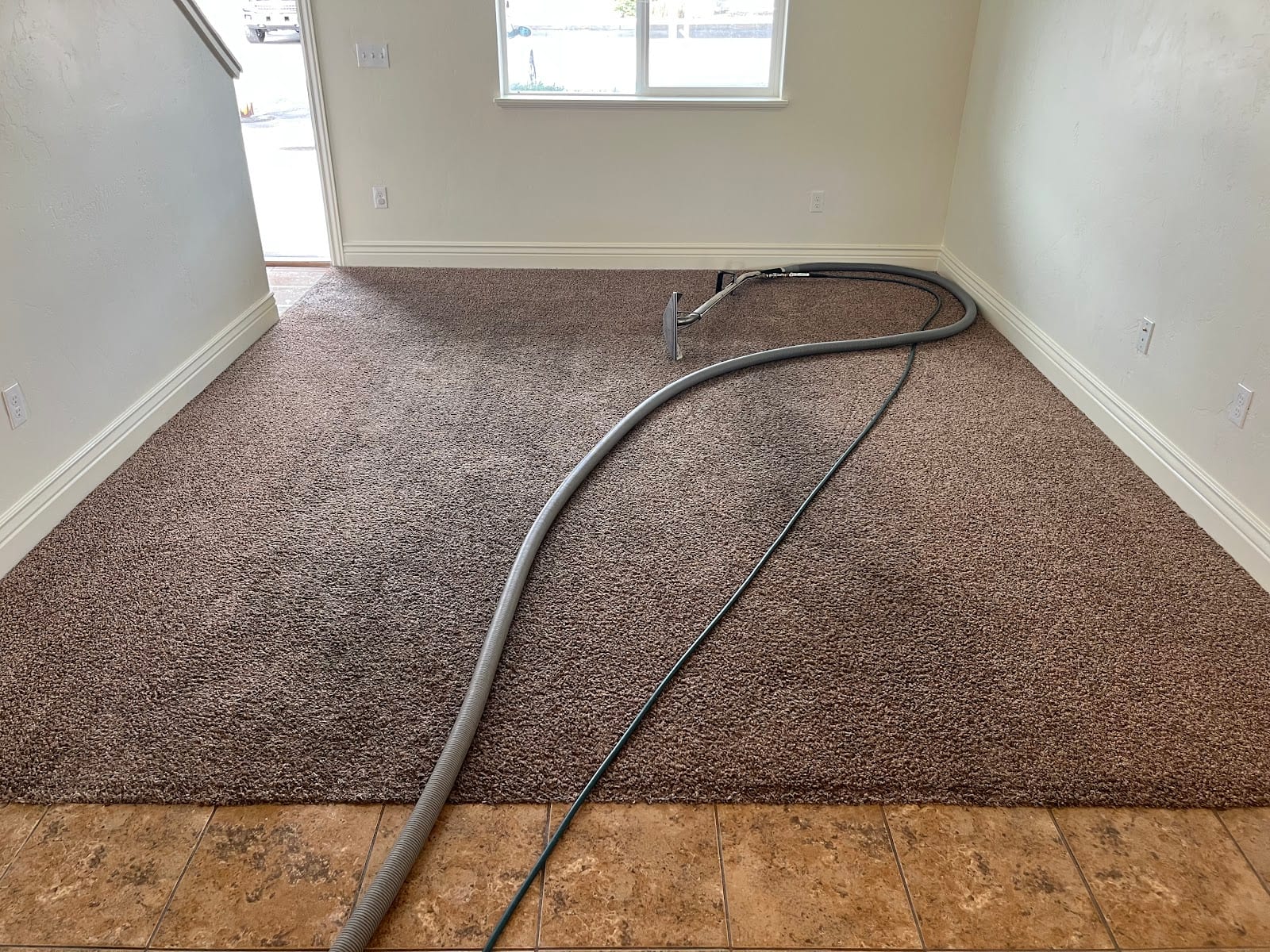 Speedy's Carpet Cleaning, photo 4