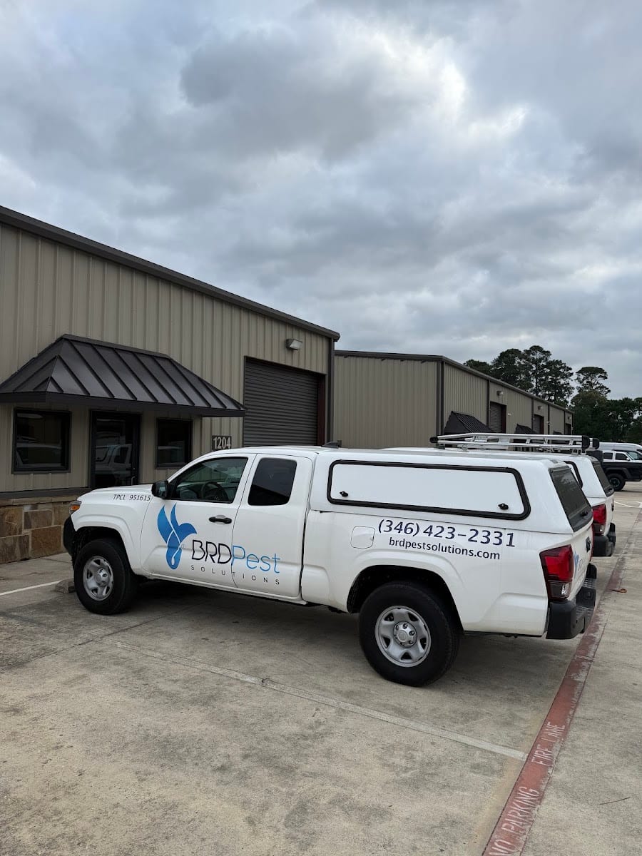 BRD Pest Solutions