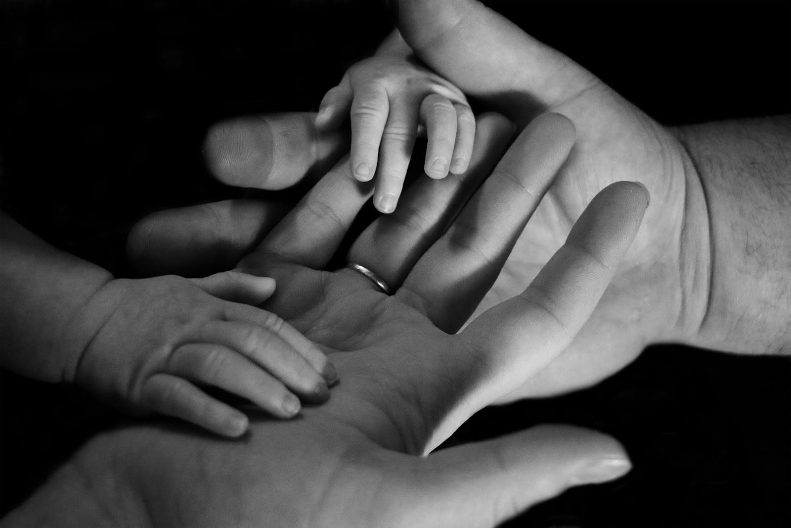 Lucas Family Law, photo 4