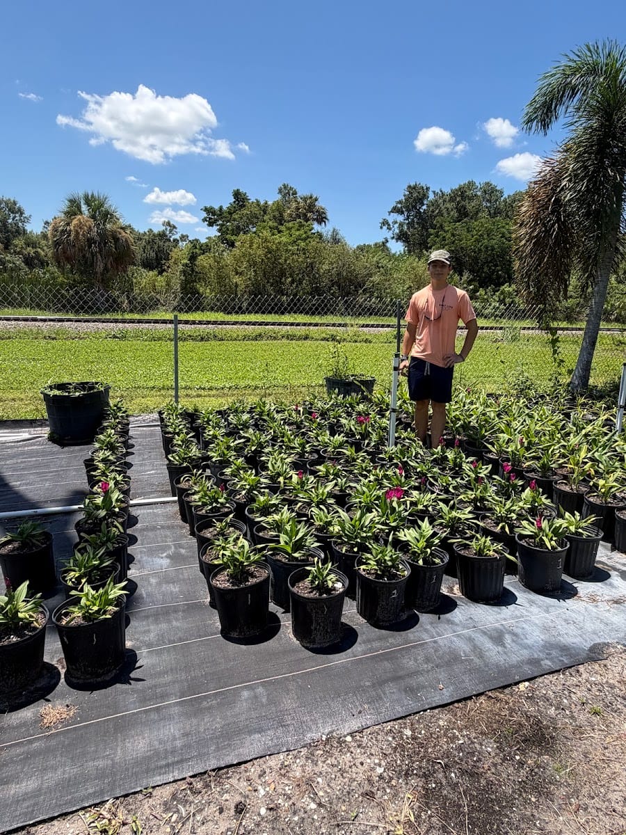 Powell Nursery & Landscaping