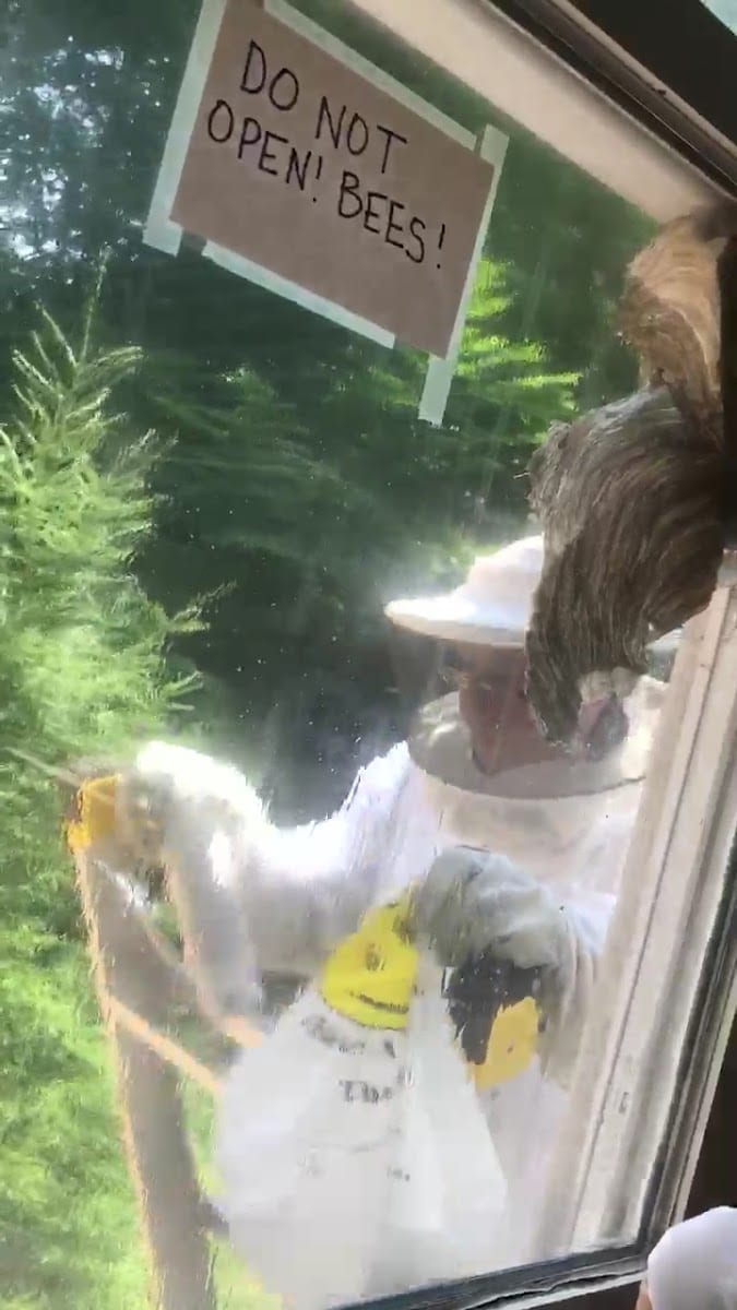 Reliable pest and animal control, photo 3