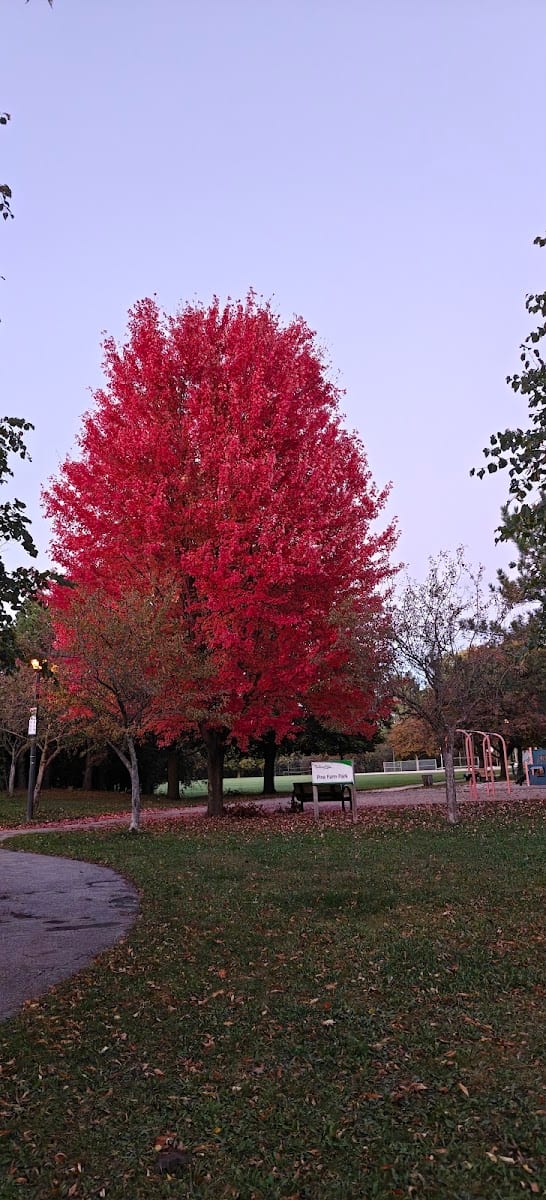 Pine Farm Park, photo 2