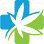 Compassionate Cannabis Clinic