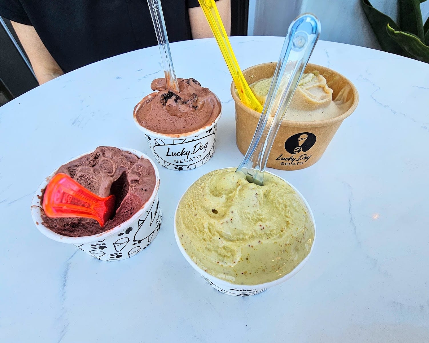 Lucky Dog Gelato