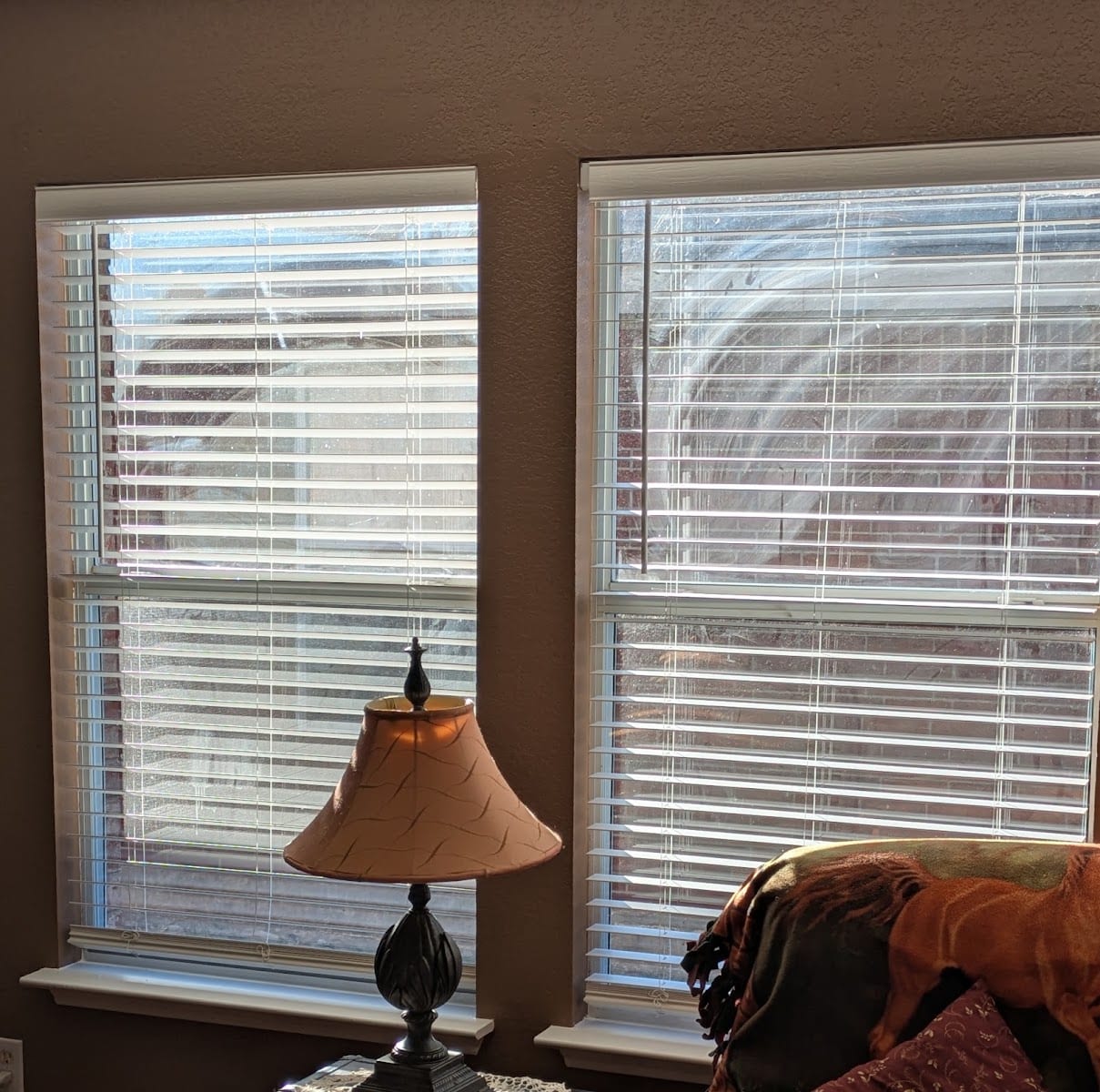 Rose Cleaning Service, photo 2