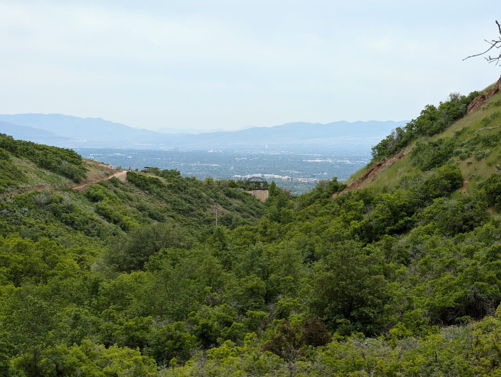 Red Butte Canyon Overlook Trail, photo 4