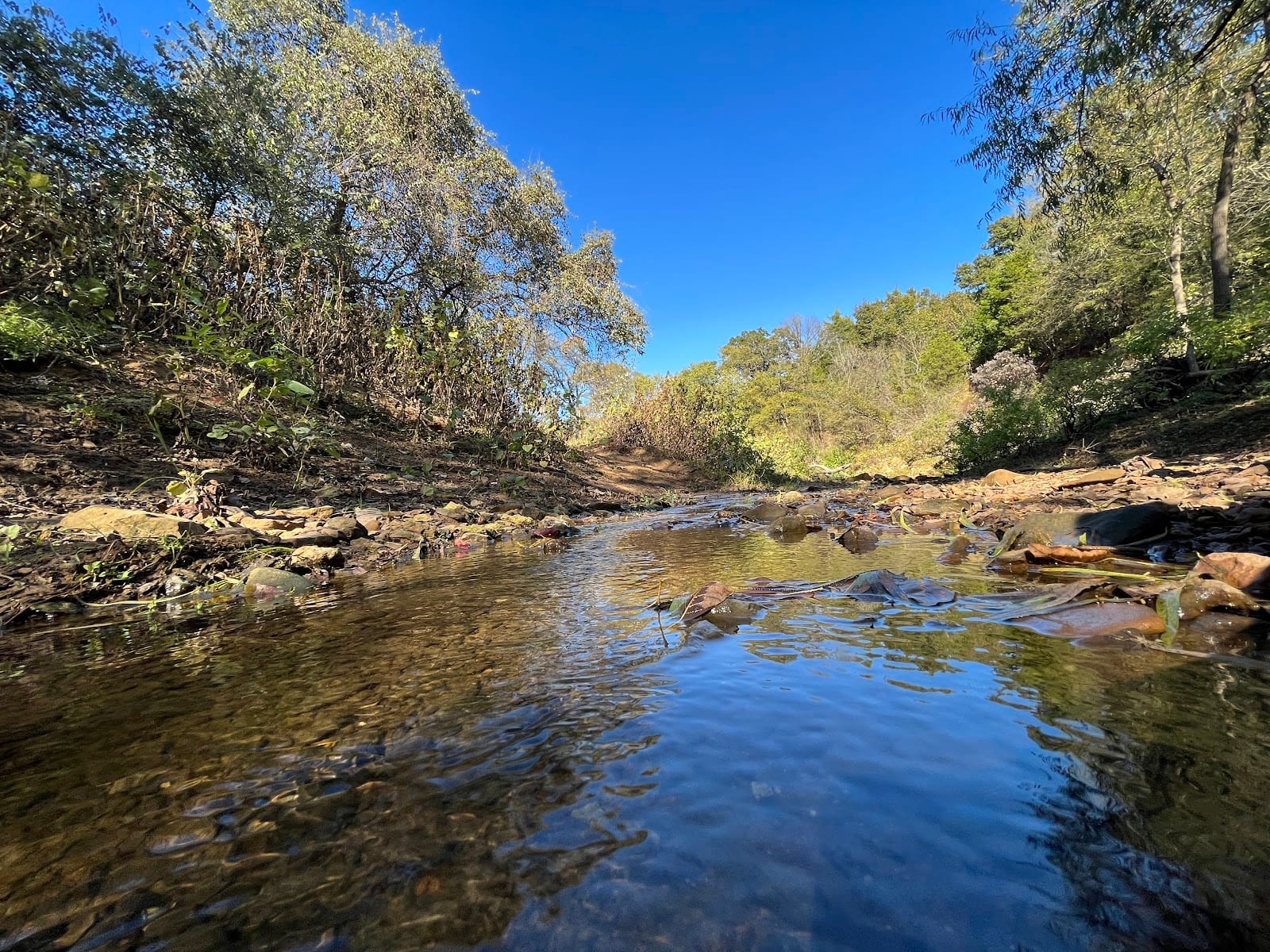 Rocky Point Trail, photo 3