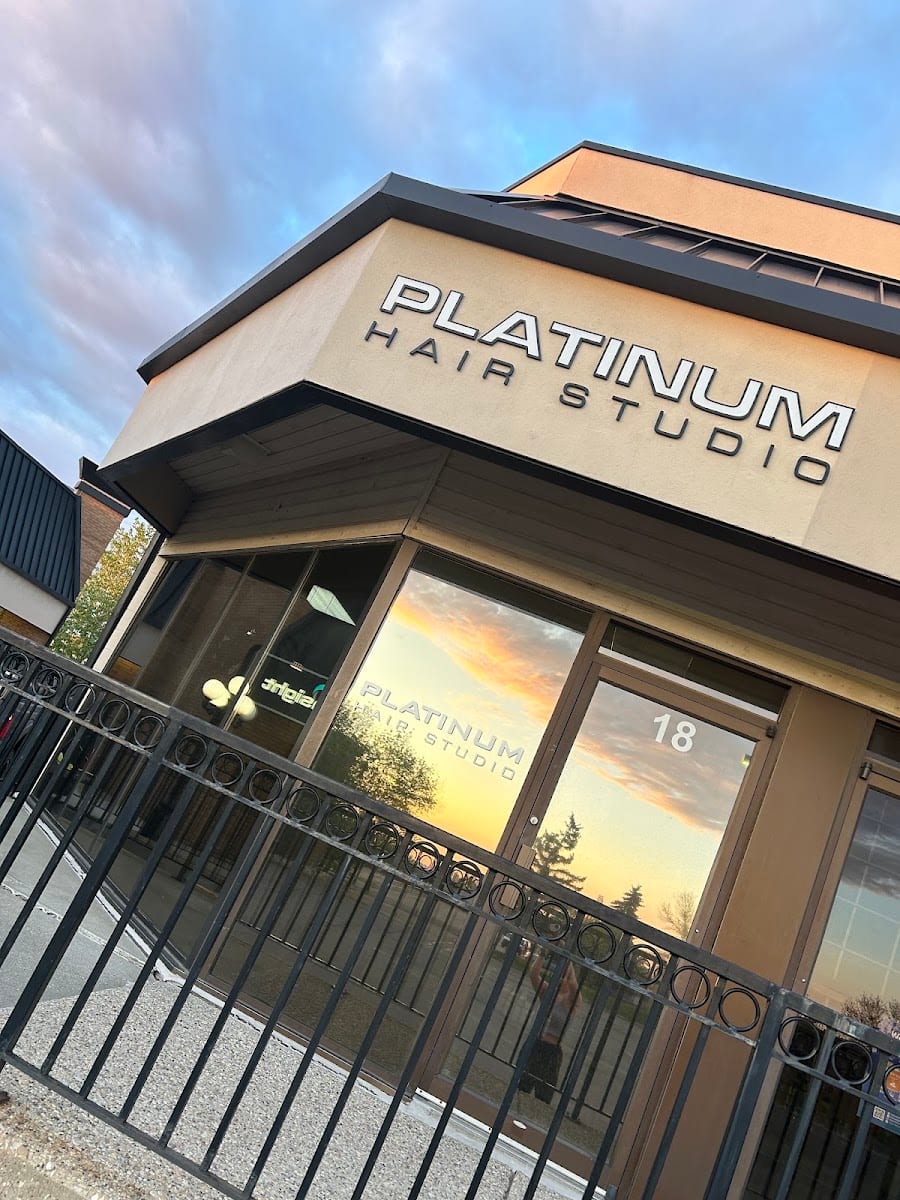 Platinum Hair Studio