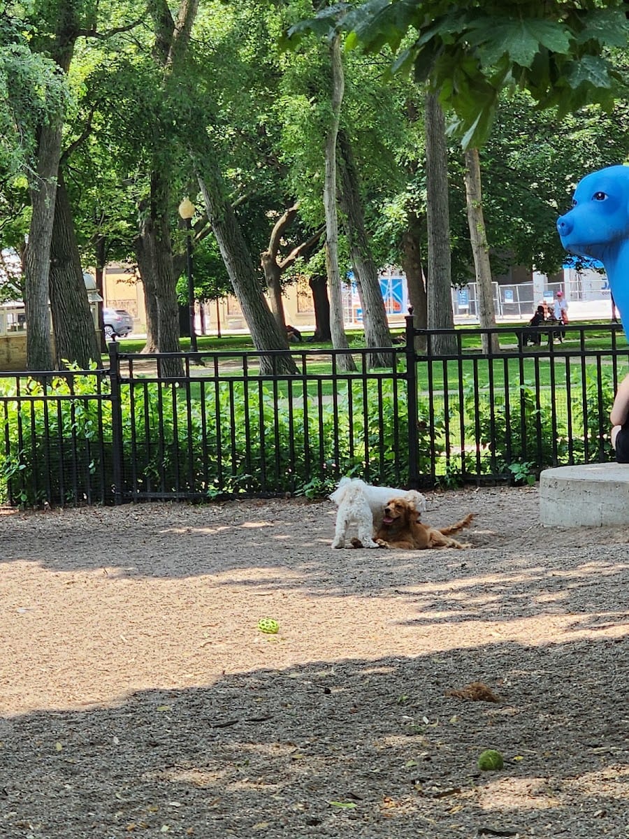 Allan Gardens Dog Park