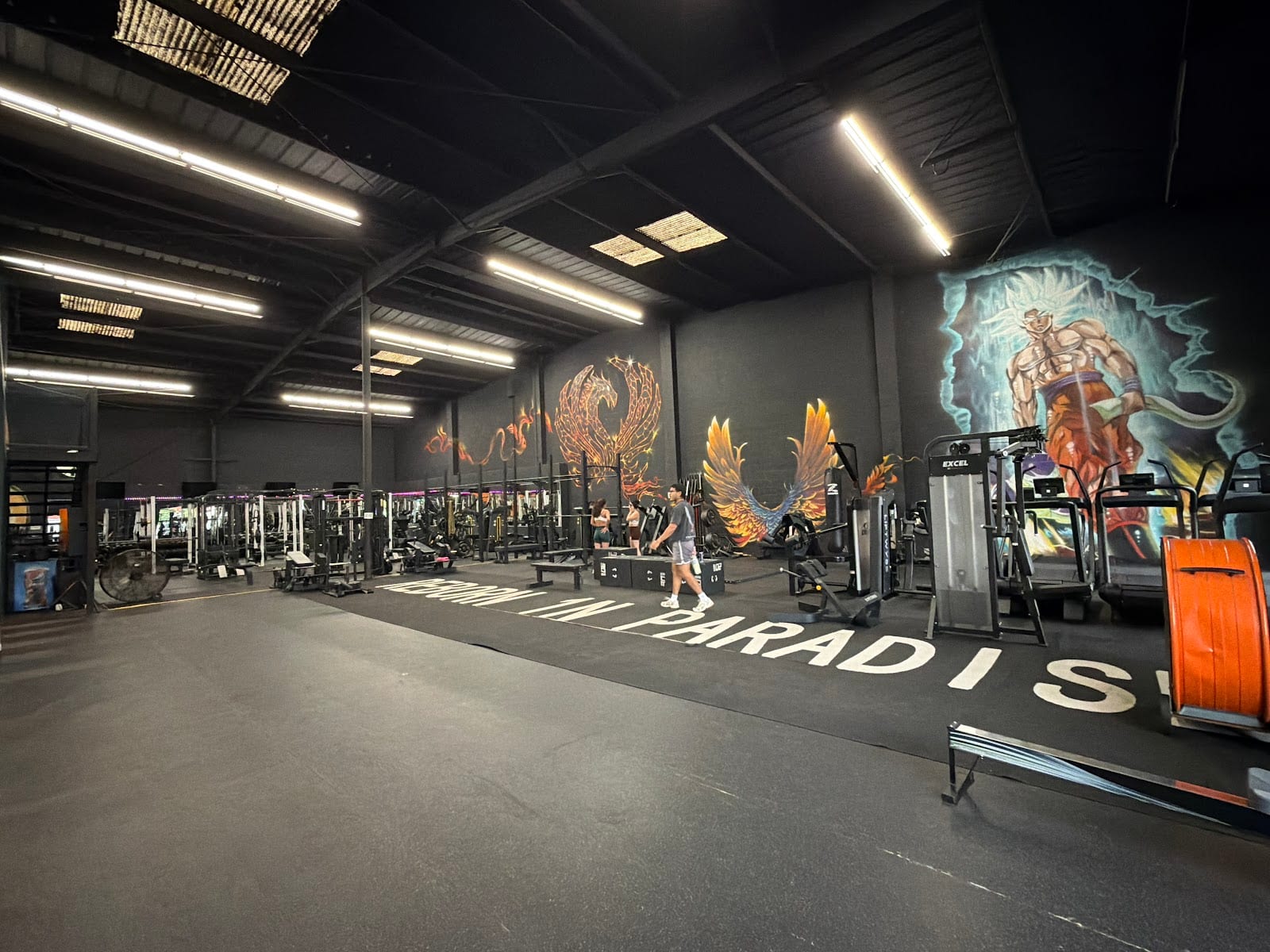 R1PFITNESS