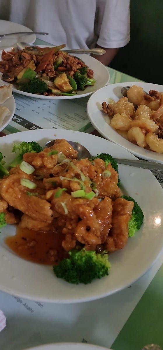 Chen's Panda Chinese Restaurant, photo 2