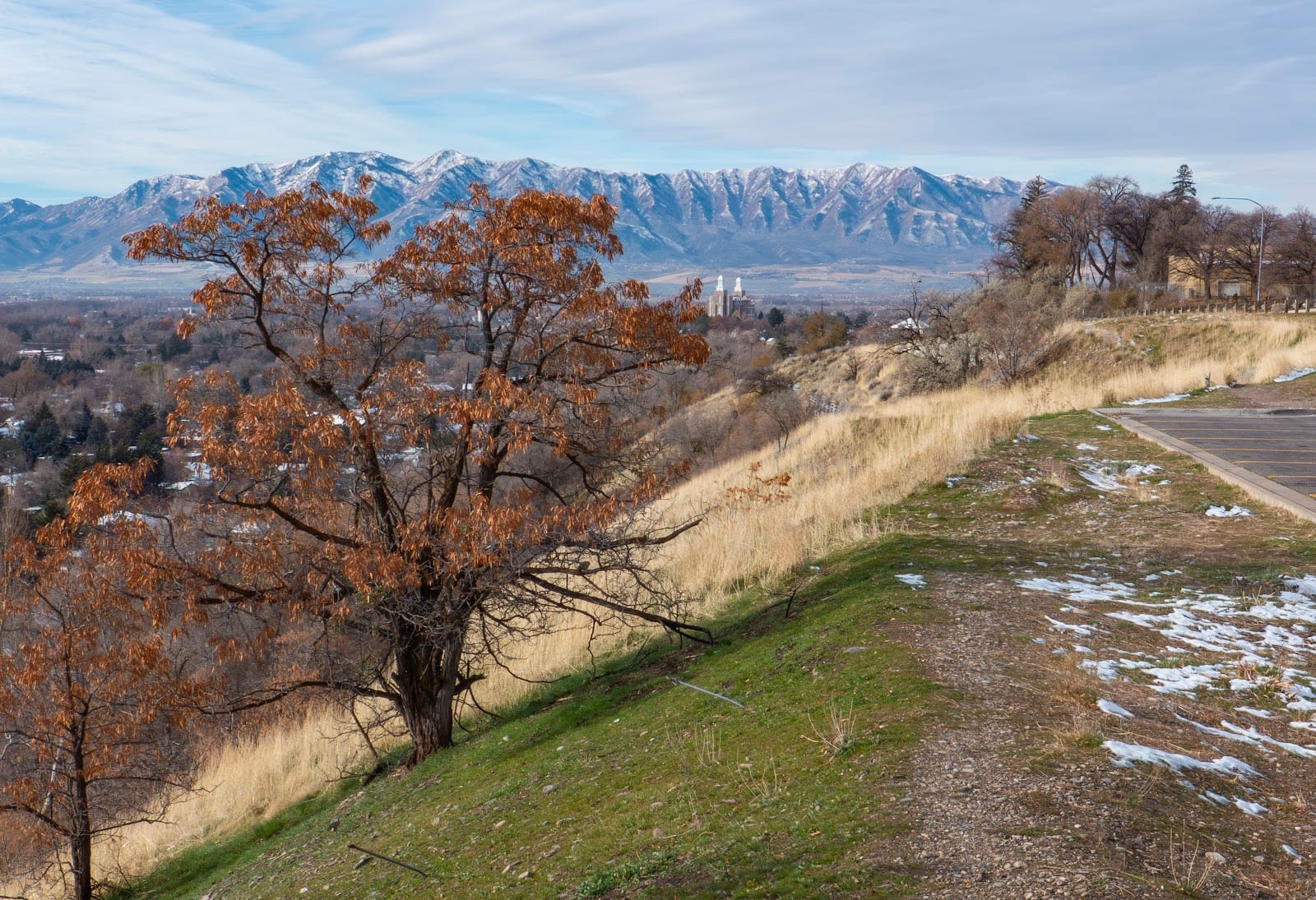 Canyon Road Park