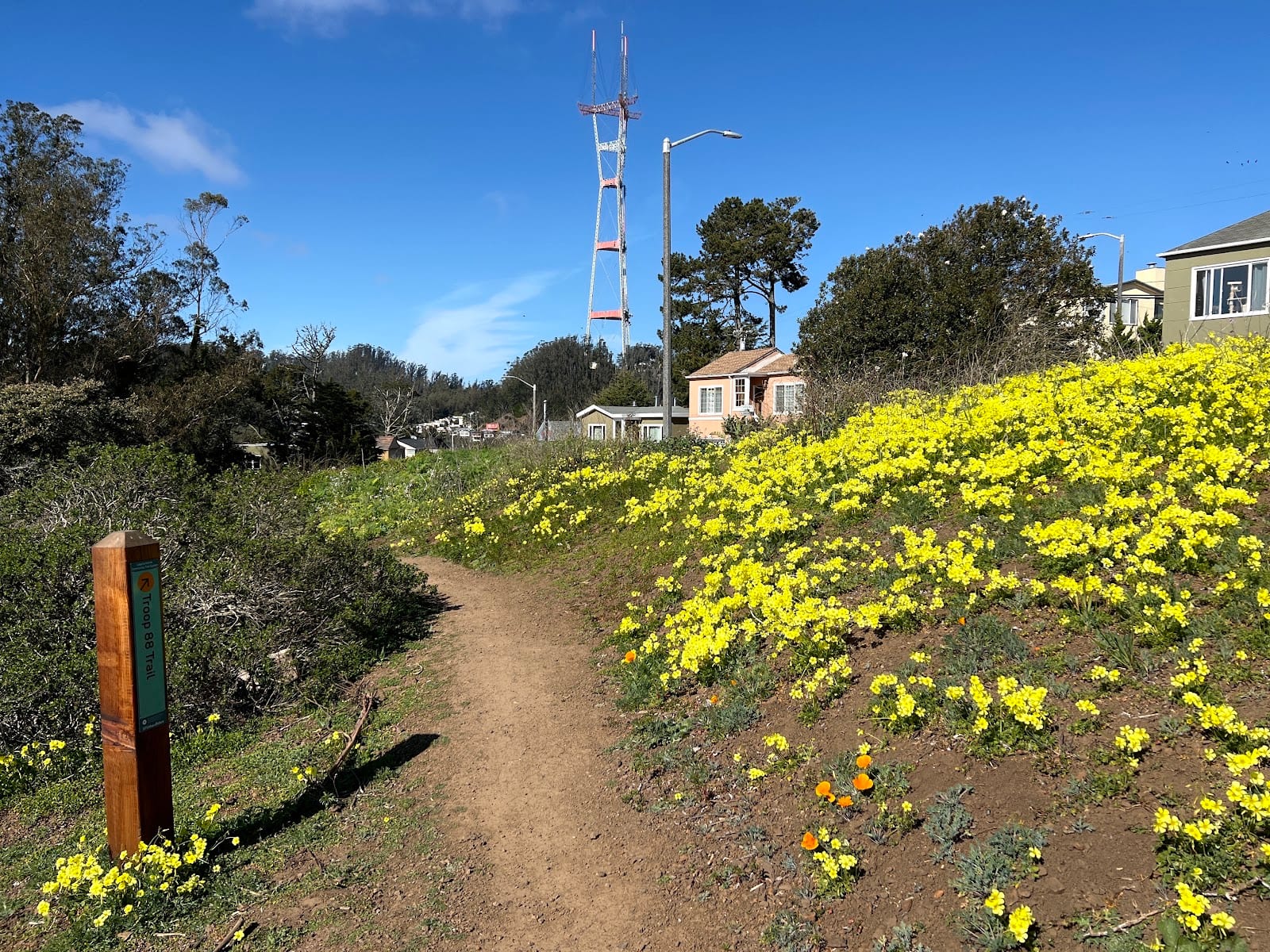 Laguna Honda Community Trail System