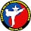 Castle Hills Taekwondo America