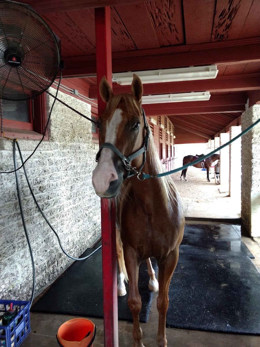 Tyrrell Park Stables, photo 2