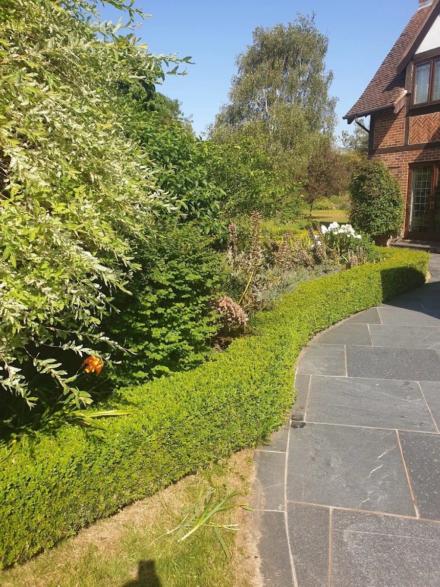 St Albans Gardening Services, photo 4