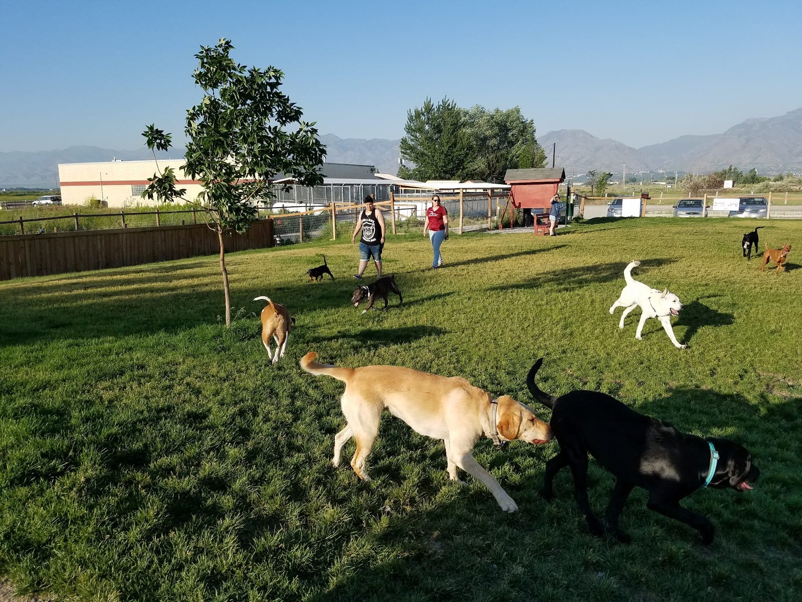 Cache Humane Society Dog Park