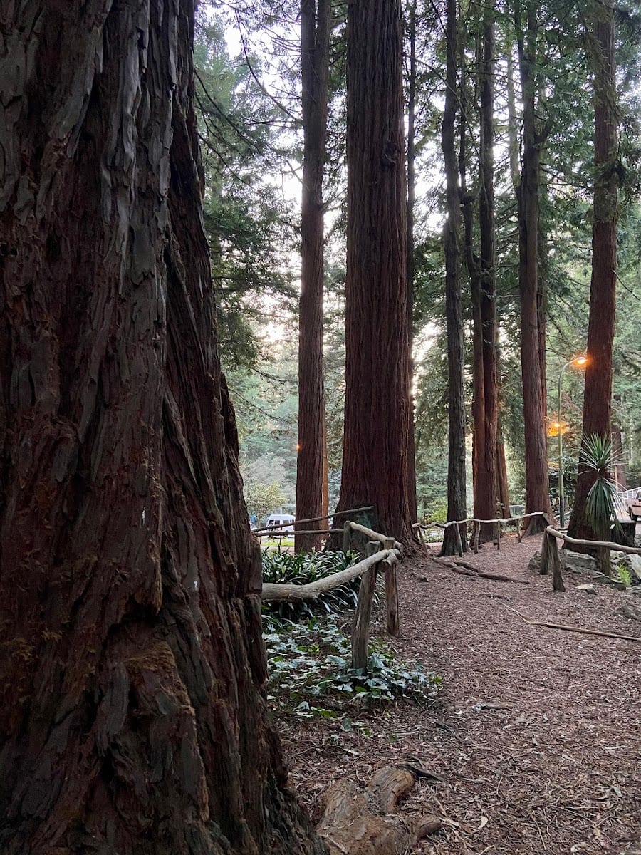 Stern Grove Playground, photo 3