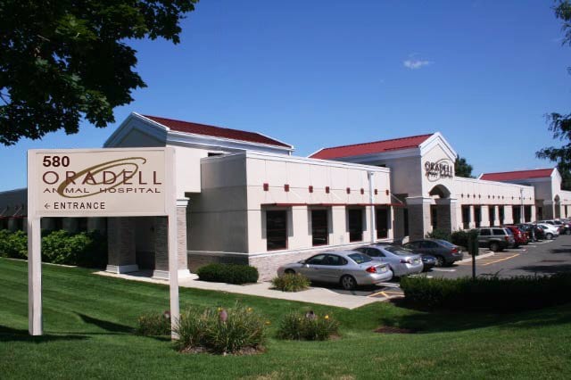 Oradell Animal Hospital - Paramus