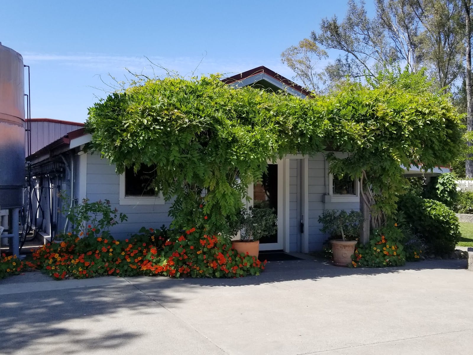 Elyse Winery