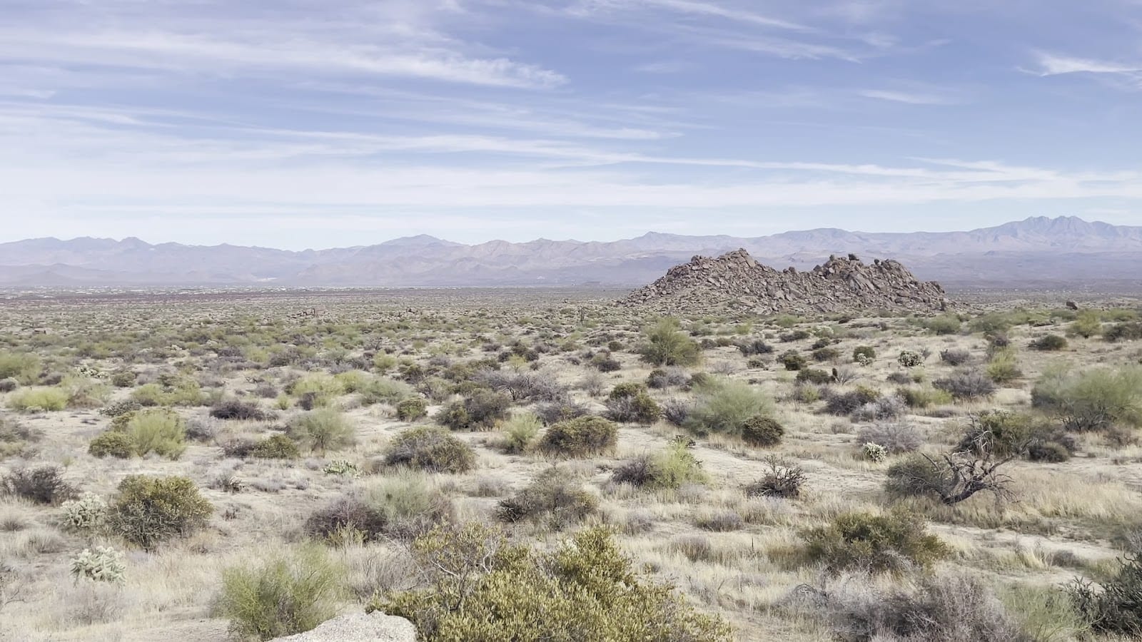 Trail Head Preserve - McDowell Mountains, photo 2