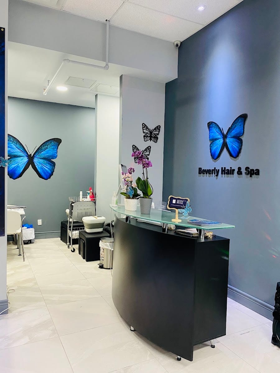 ‏BEVERLY HAIR & SPA