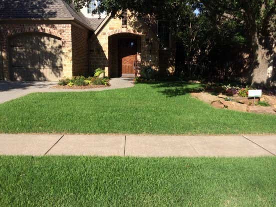 Burtons Best Quality Turf And Pest, photo 2