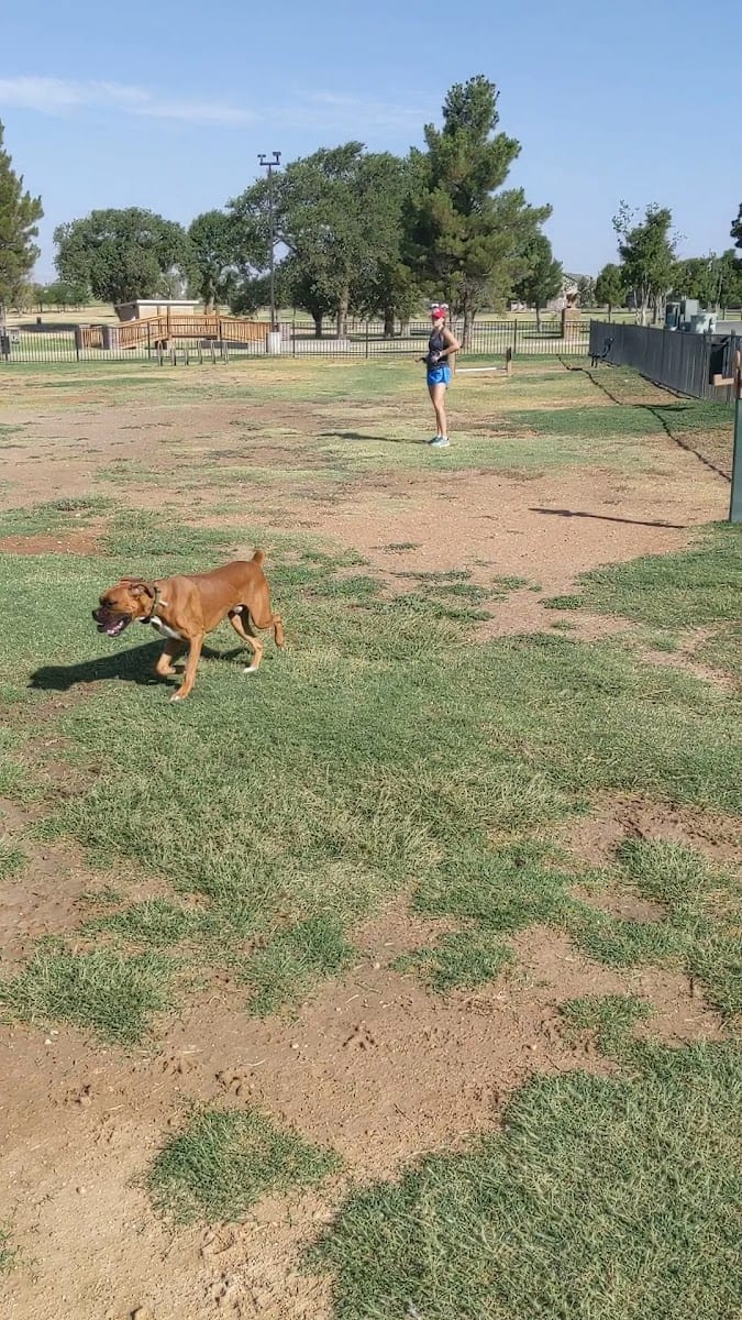 Private Dog Park Lubbock, photo 2