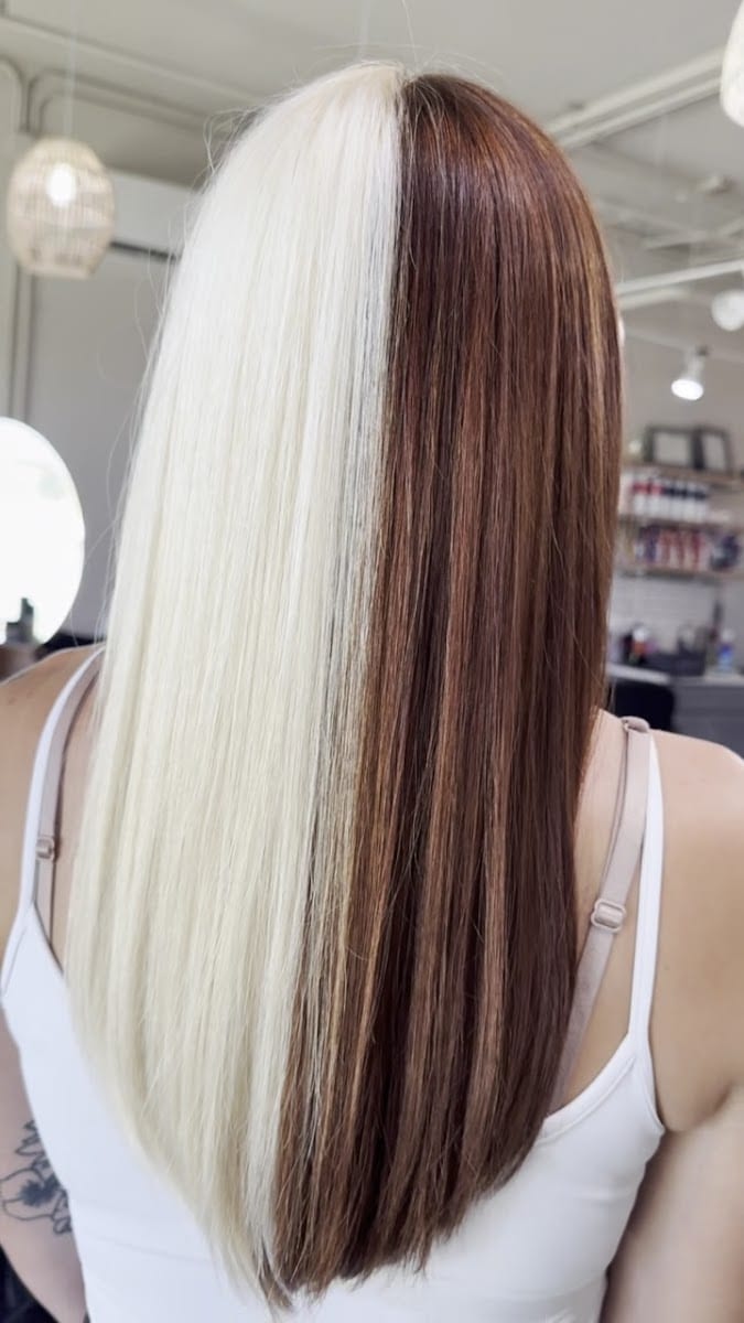 O Salon, photo 2