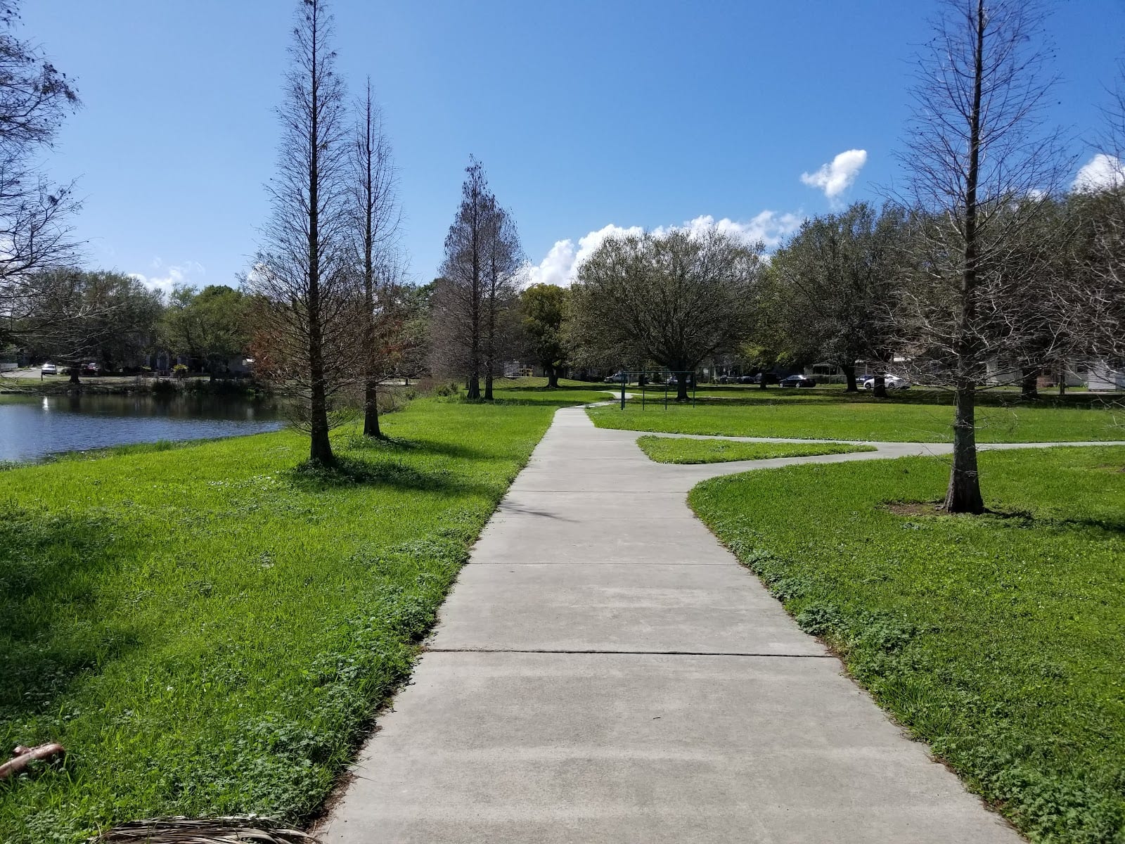 Robles Park Center