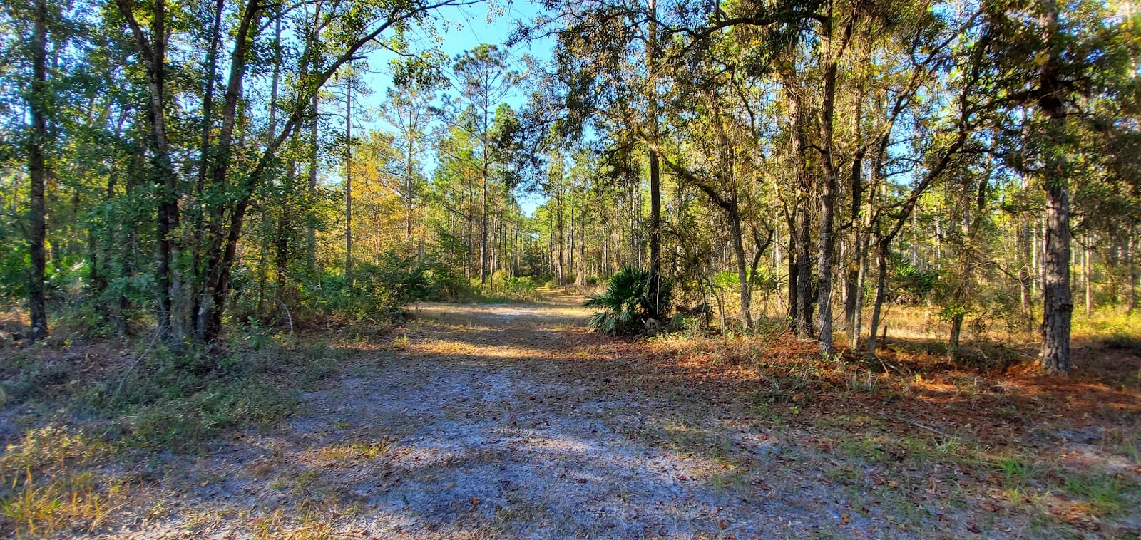 Bayard Conservation Trailhead, photo 3