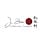 J Zhou Oriental Cuisine