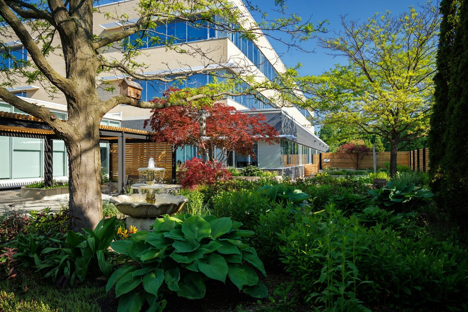 Leaside Sports Medicine