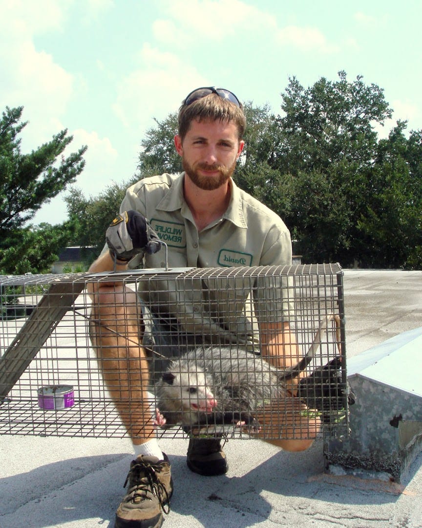 Saratoga County Wildlife Removal