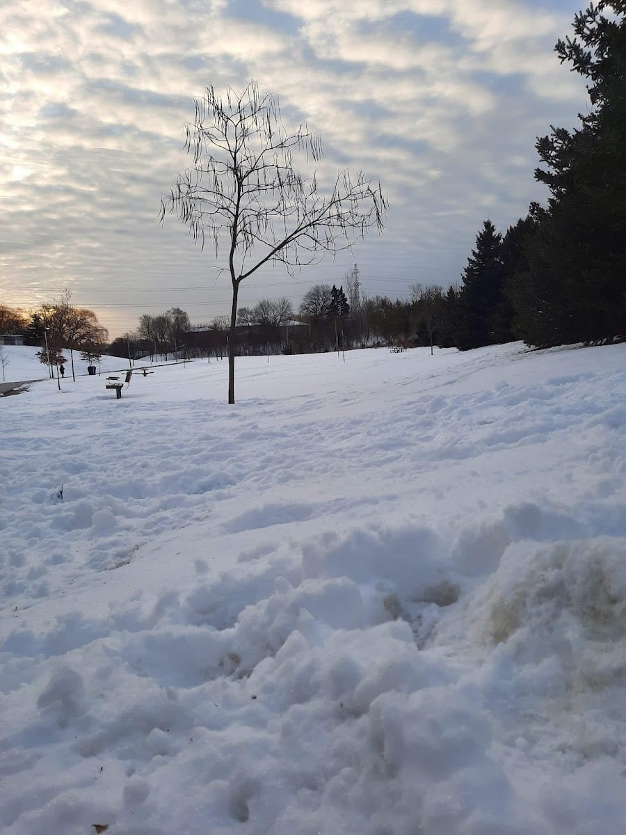 Lindylou Park, photo 3