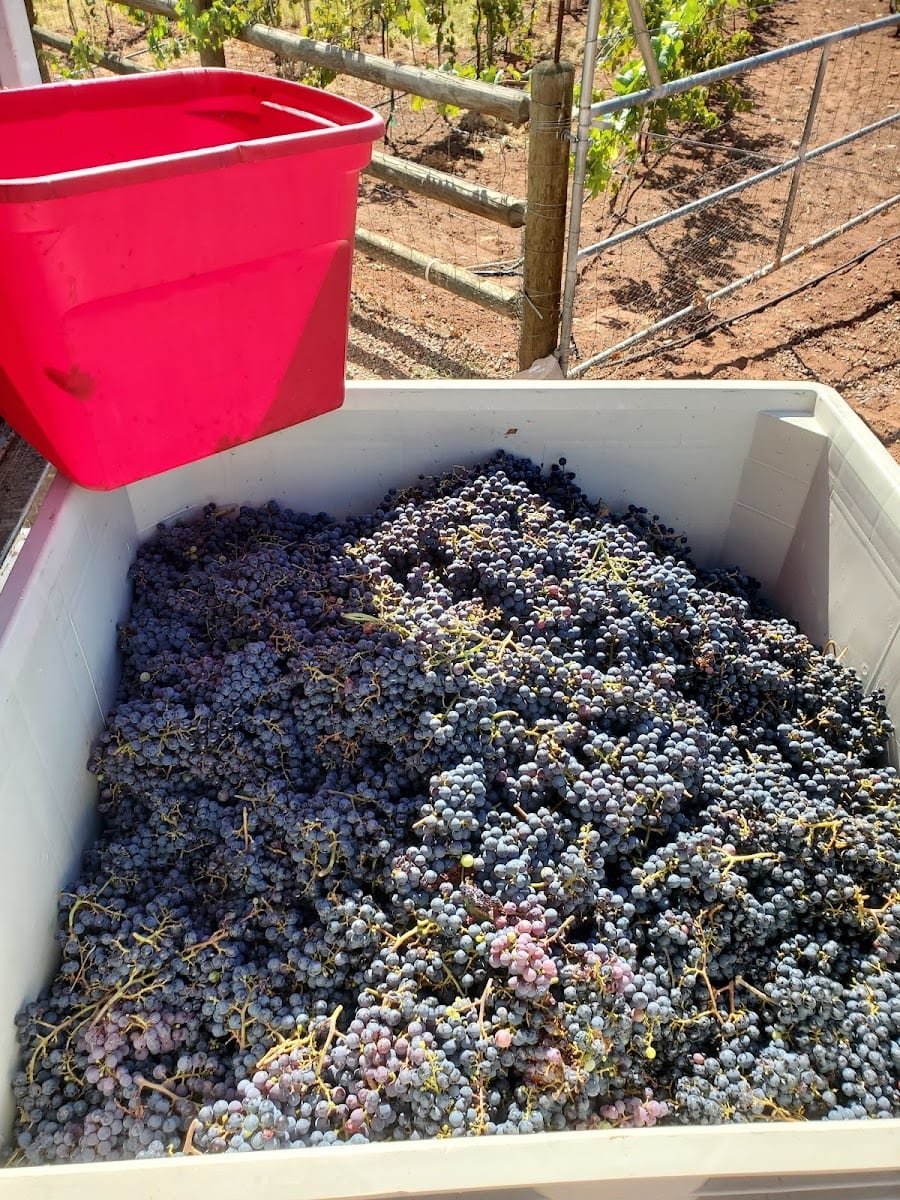 Desert Rock Winery & Distillery, photo 4