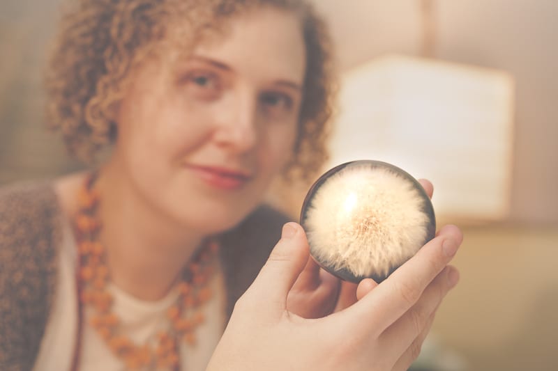 Dandelion Healing, photo 2