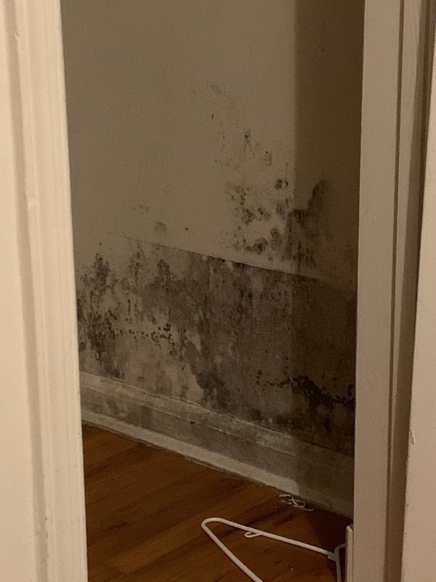 Stuart Gardens Apartments, photo 2