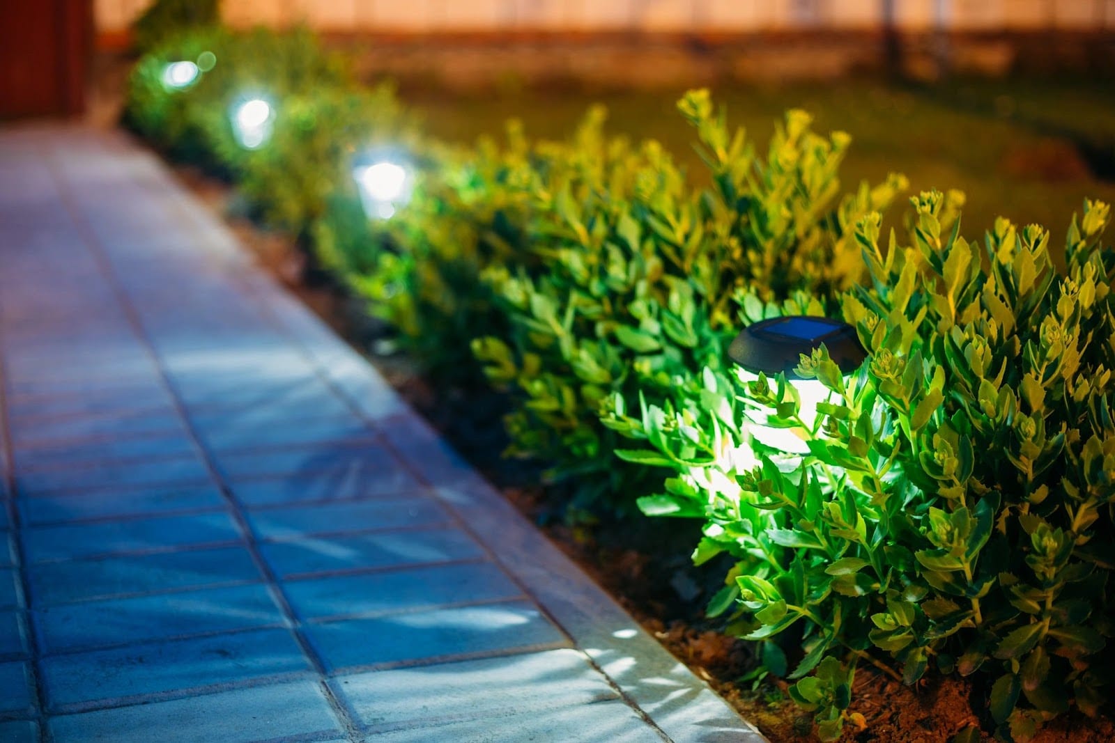 Tropical Outdoor Solutions Inc, photo 2