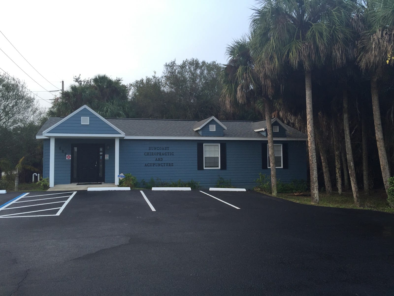 Suncoast Chiropractic, photo 2