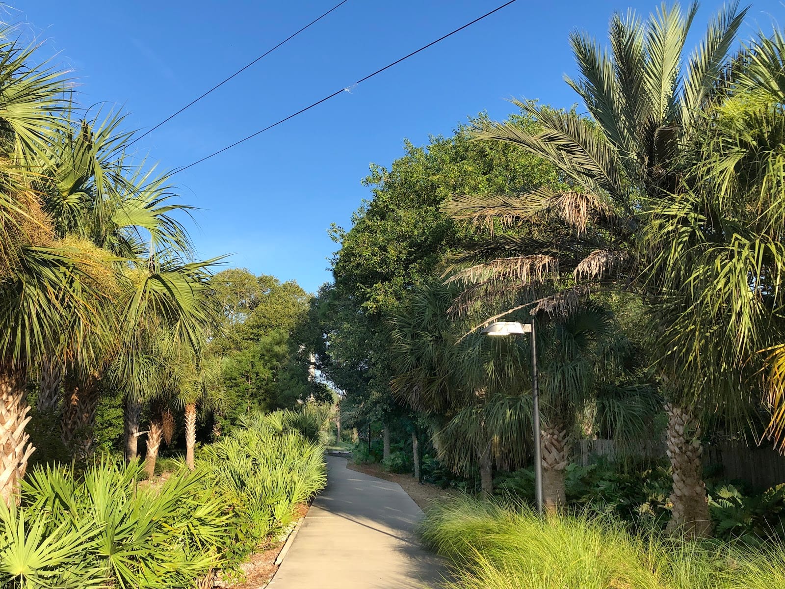 Alderman Multi-Use Recreation Trail, photo 3