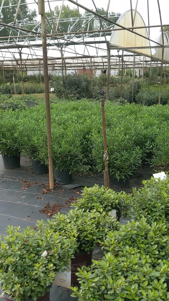 Indian Creek Wholesale Nursery, photo 2