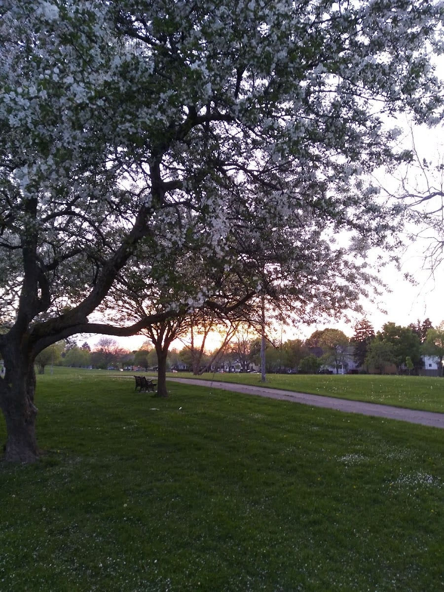 Pulaski Park