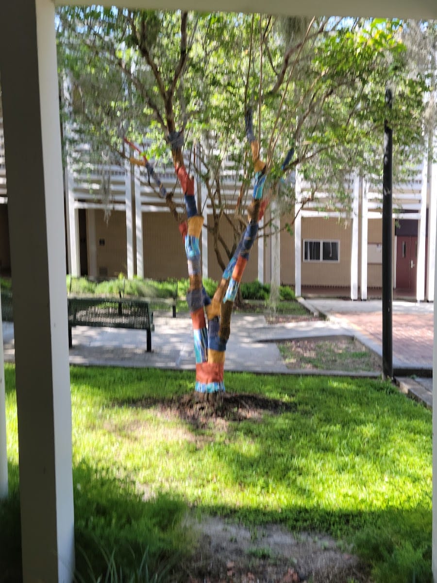 USF School of Art and Art History, photo 3