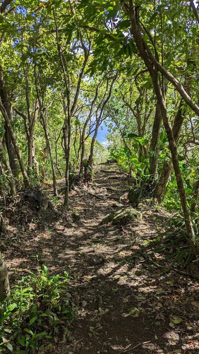 Jack Boy Hill Nature Trail