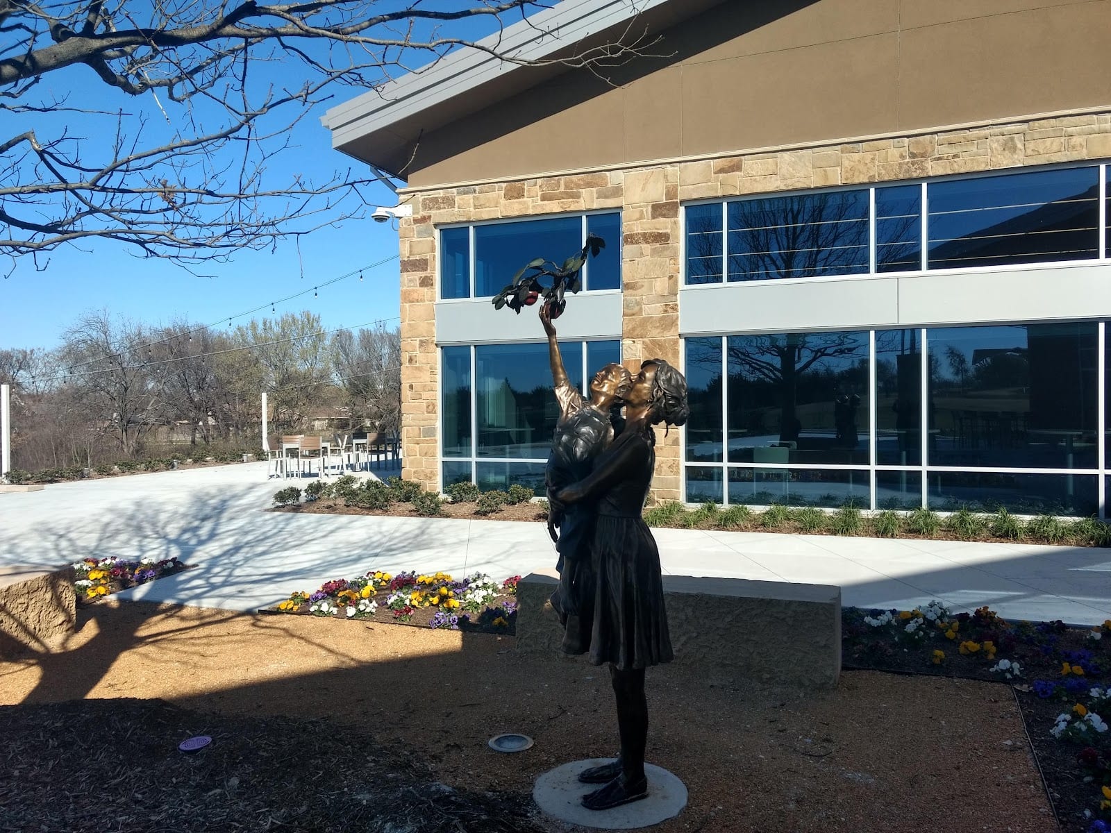 The Grove at Frisco Commons, photo 2