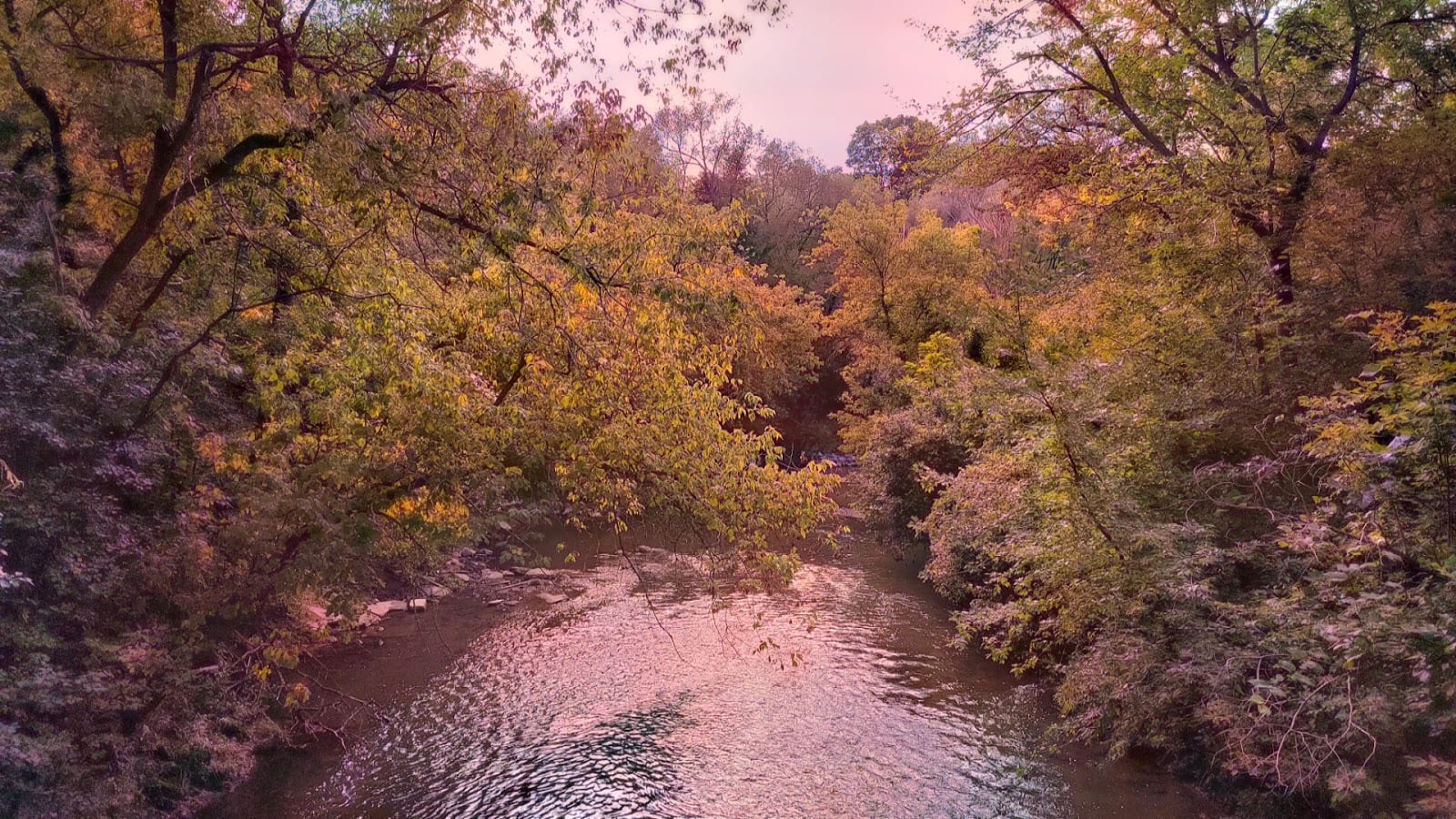 Villaways Park, photo 2