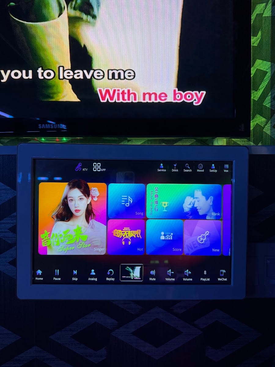 Level2 Karaoke, photo 2
