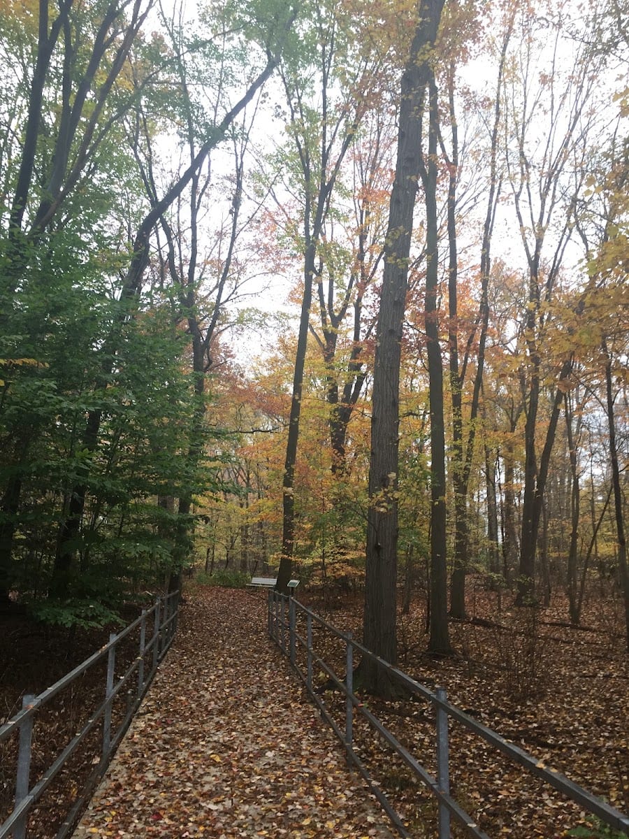 Reid Park, photo 2