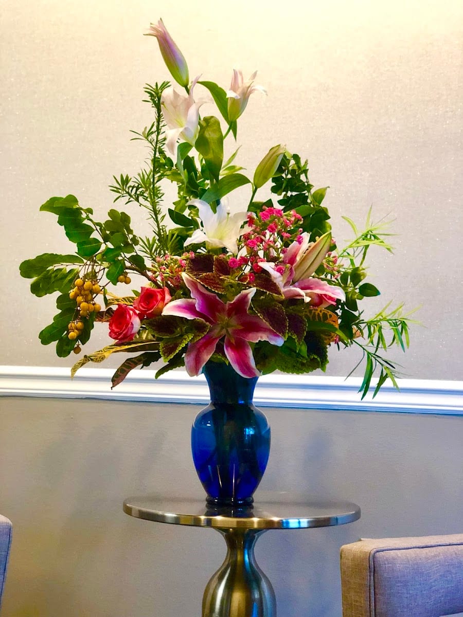 Healing Arts Massage & Wellness, photo 4